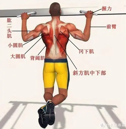 必威：乒乓球台内多高的球可以挑打